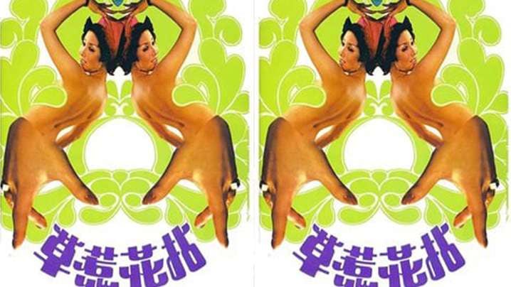 【香港】拈花惹草(1976)