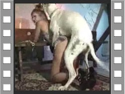 [无码] 骚狗母狗爆操内射 淫荡贱货求饶